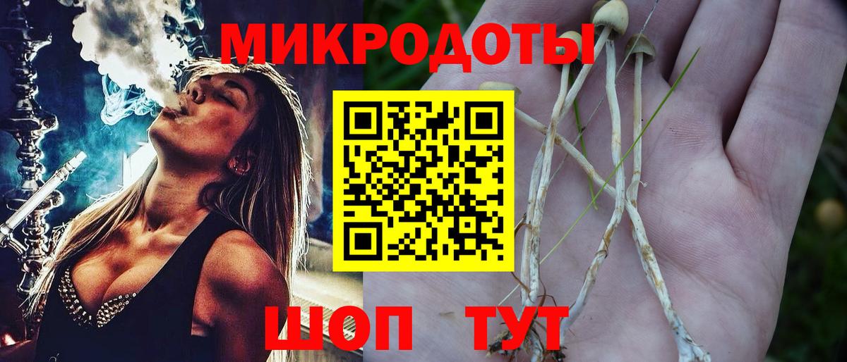 Галлюциногенные грибы Psilocybe Минеральные Воды