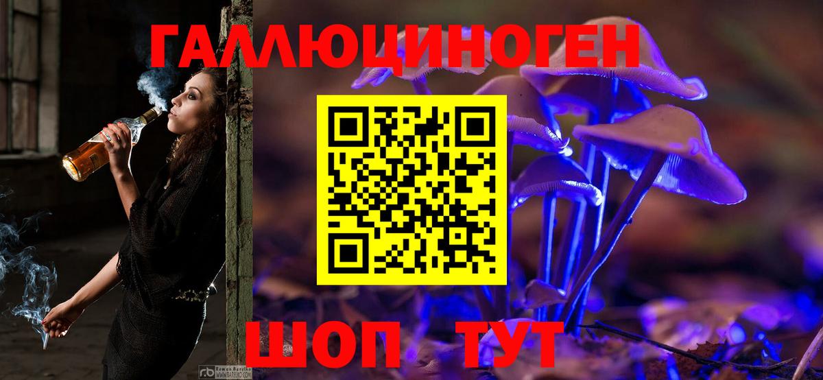 Псилоцибиновые грибы Psilocybe  Вход с VPN  Минеральные Воды  Псилоцибиновые грибы мухоморы 